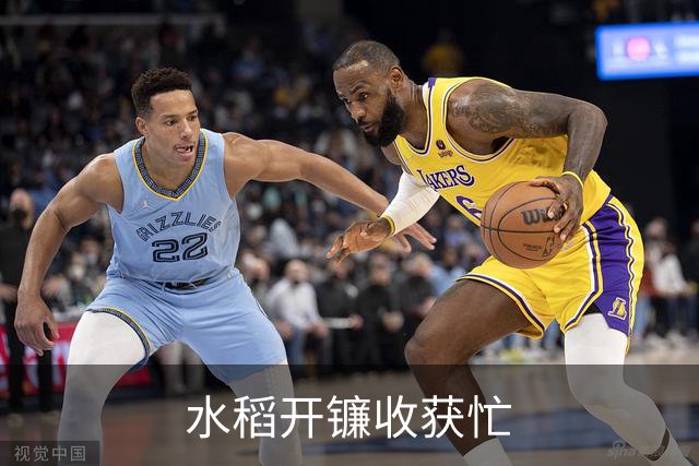 水稻开镰收获忙
